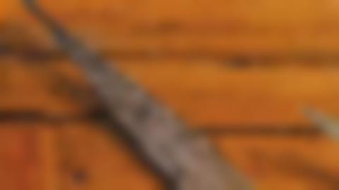 Närbild på skidspets. Skida av trä, men gravyrmönster.