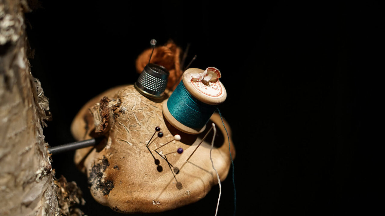 Björkticka med några knappnålar, en synål, ett fingerborg och en trådrulle med grön tråd.