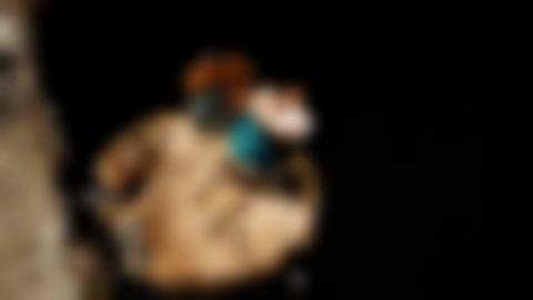 Björkticka med några knappnålar, en synål, ett fingerborg och en trådrulle med grön tråd.