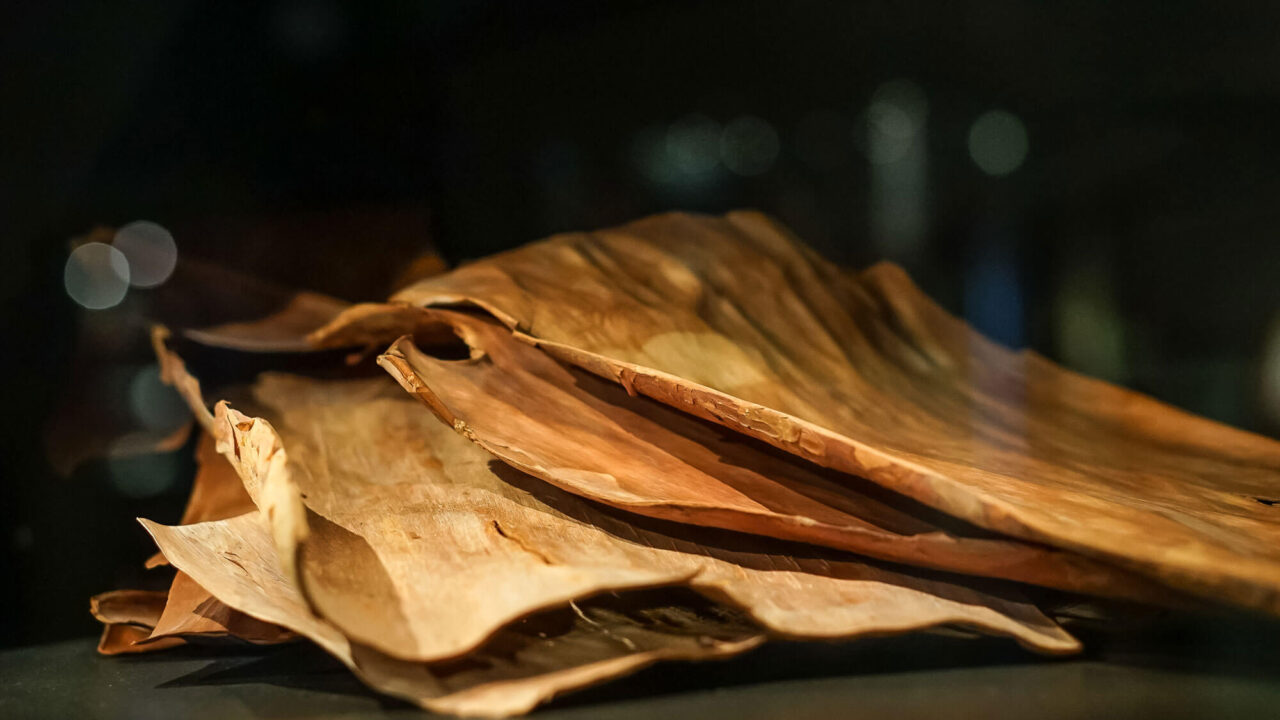 Orangebruna flagor av torkad innerbark från tall ligger på varandra.