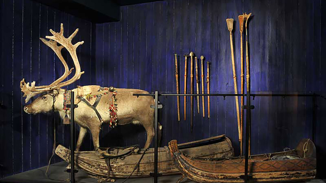 Parti i Silvermuseets utställning Mujttalus: Uppstoppad ren med traditionellt samiskt seldon och en skälla. Bredvid står två ackjor, båtformade pulkor. I bakgrunden på en mörkblå vägg hänger 6 korta stavar och tre långa.