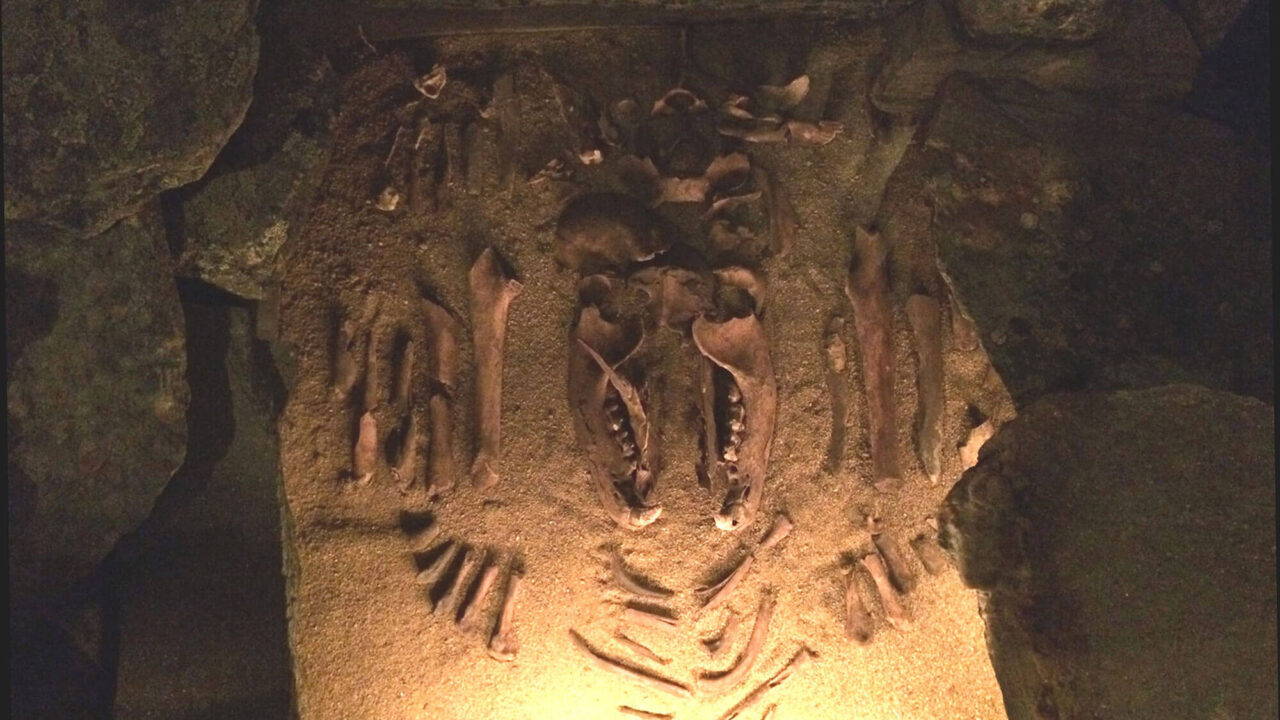 Lot from the Silvermuseet's exhibition Traces: Bones in symmetrical order lying on a sandy ground.