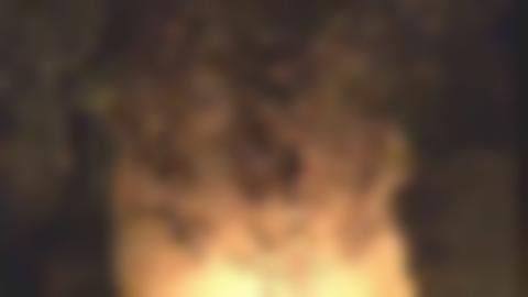 Parti ur Silvermuseets utställning Spår: Ben i symmetrisk ordning liggandes på en sandgrund.