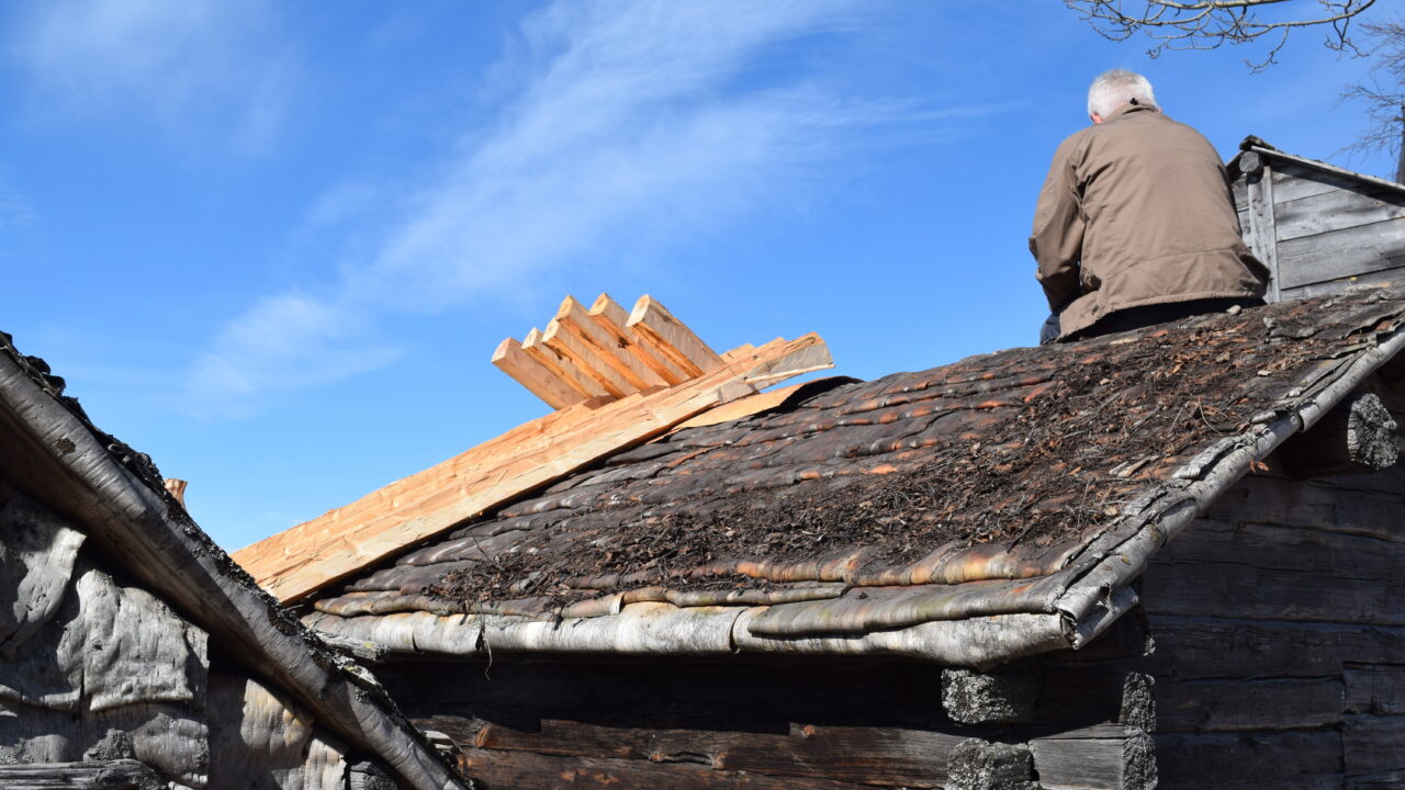 Person med grått, kort hår och gråbrun jacka sitter på taket av en timrad bod. Närmast takets ena nock har det lagts nytt virke, där personen sitter är det näver.
