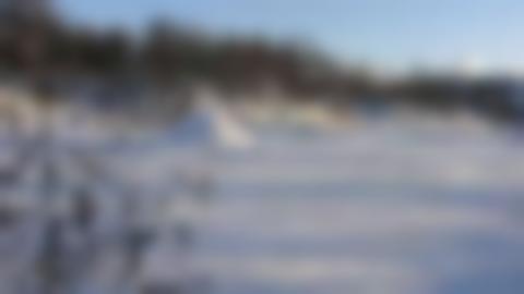 Snowy landscape in mountain birch forest with blue sky in the background. In the middle of the picture, a little to the left, you can see a peak in the snow - it is a snow-covered hut.