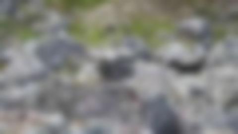 Rocky landscape with a small cairn in the middle. The cairn is difficult to distinguish from the other stones.