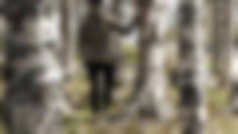 En person i grågrön jacka och svarta byxor står med ryggen mot kameran och håller sig i en björkstam. I fokus är en en lavbevuxen björkstam till vänster i bilden.