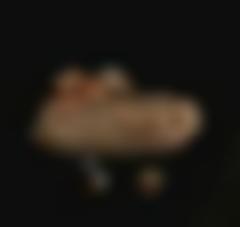 Ett smycke och ett par örringar ligger på en sten. Framför ligger en fingerring.