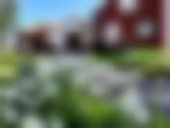 Bild som visar rött hus med vita knutar. En grusgång leder upp till trappan, och bredvid v växer prästkragar.