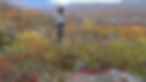 Person stående i höstfärgad fjällmiljö och skriver i en bok. I förgrunden står en jordsond i backen